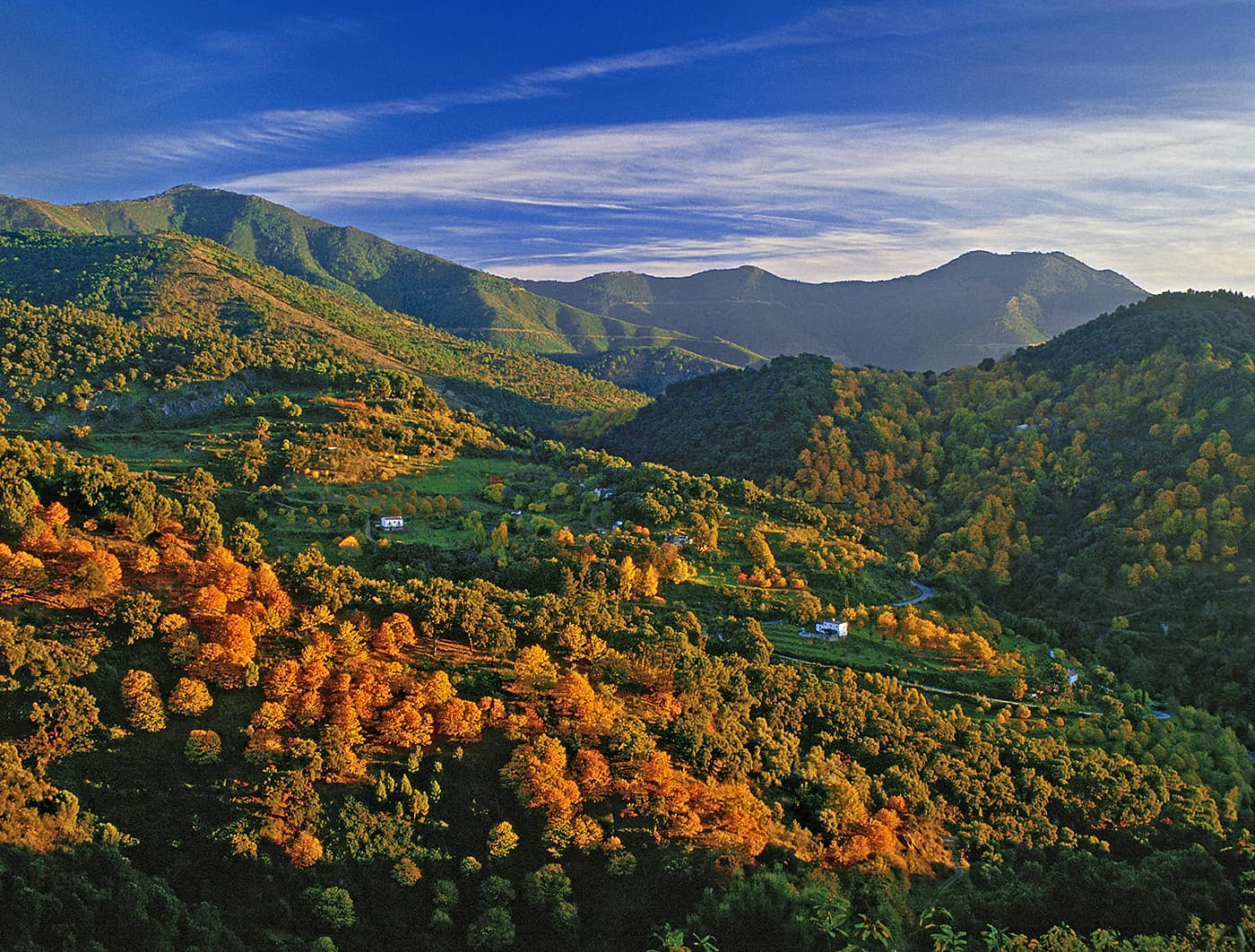 Gran Vuelta Valle del Genal 2023