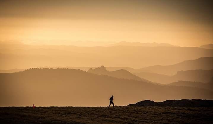 Territorio Mentiras 2022 (Mentiras Vertical)