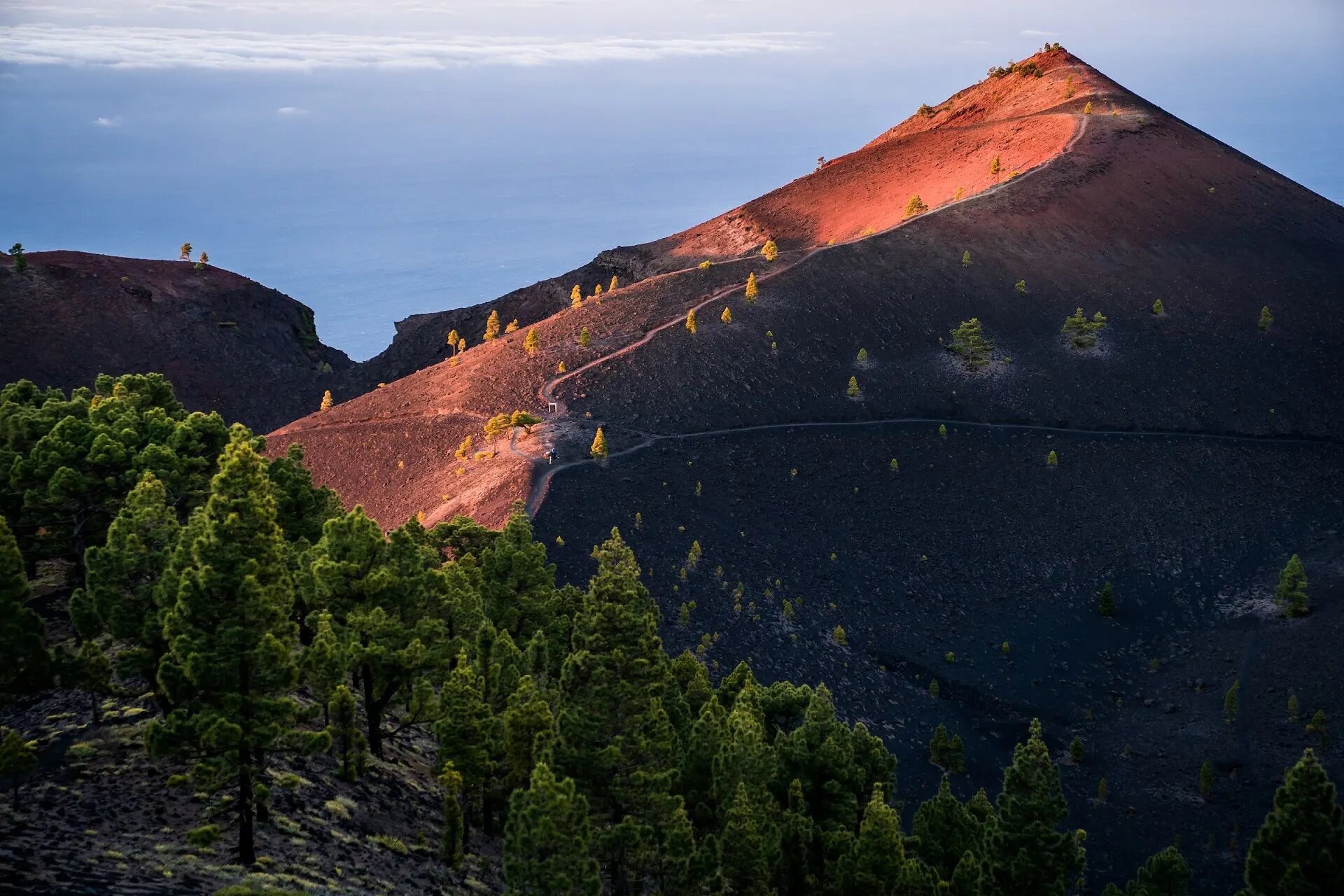 Transvulcania by UTMB